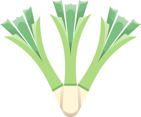 Leek