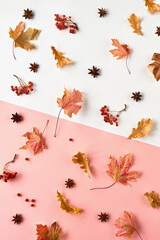 Autumn leaves, anise seed spices and rowan berry. Top view, flat lay composition on layered pink, white paper. Fall season background for social media posts, stories.