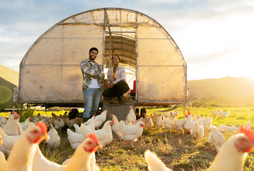Agriculture, chicken and sustainability with of black couple on farm for growth, food and environment. Countryside, farmer and eggs with man and woman in field for livestock, poultry and harvest - obrazy, fototapety, plakaty