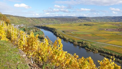 Obraz premium landscape with a river