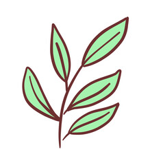 Herb isolated on white background.Doodle vector illustration