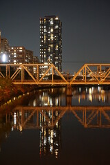 Obraz premium 大川に架かる鉄橋とビル郡の光が川に反射している夜景