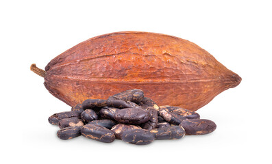 Cocoa isolated on transparent png
