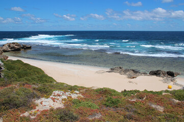 Fototapeta na wymiar cape vlamingh at rottnest island (australia) 