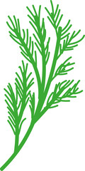 Dill. Vector illustration in a flat style.