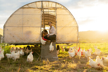 Poultry farm, black woman and chicken coop for sustainable farming outdoor on a field for meat, food and free range eggs. Farmer with animals to care and feed livestock on a sustainable ranch © Jade M/peopleimages.com
