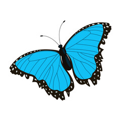 Single colorful butterfly isolated on white background. Exotic tropical insect with bright wings and antennae.