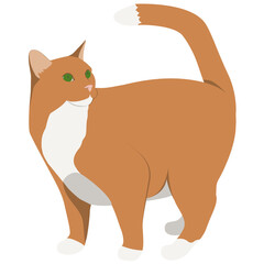 Red cat in vector illustration