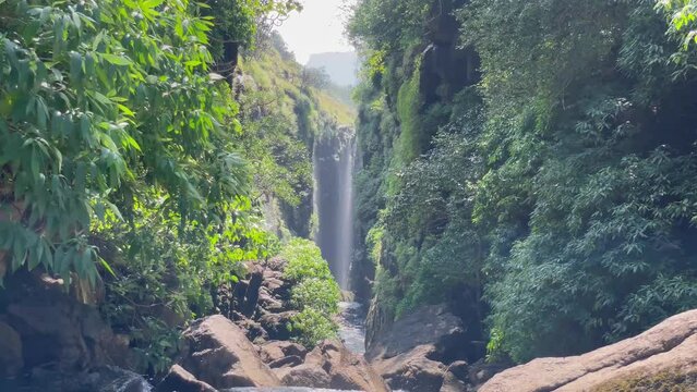 Tropical Forest With Cascades In Kalsubai Harishchandragad Wildlife Sanctuary In Western Ghats, Maharashtra India. Static Shot