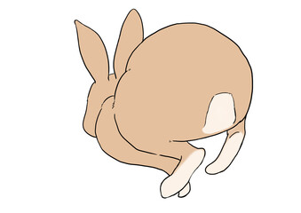 走るウサギ　茶色　後ろ姿