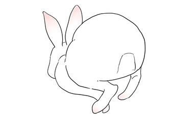 走るウサギ　後ろ姿