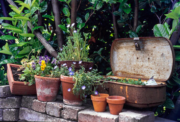flowers, flower, garden, pots, garden decoration,




