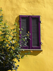 Yellow wall with tree and purple shades