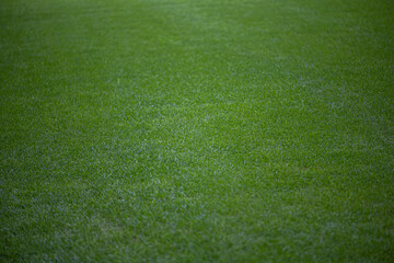 Green grass soccer field