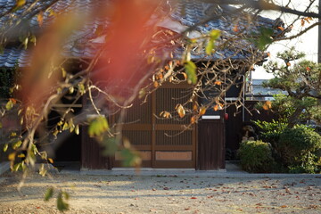 秋色の和式玄関