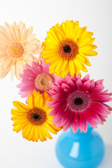 ガーベラの花 カラフルな花束 花房