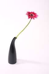 赤いガーベラの花 一輪挿し 花房