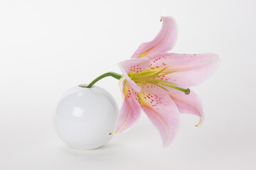 ピンクのゆりの花 白背景