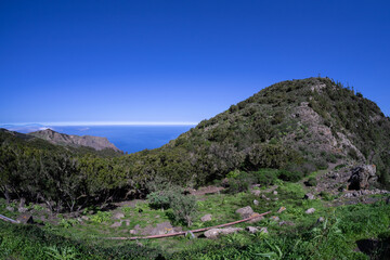 Fototapeta na wymiar Natural landscape on the Teno Alto plateau. Tenerife. Canary Islands. Spain.