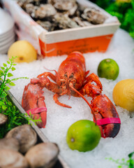 A lobster on display in a restaurant