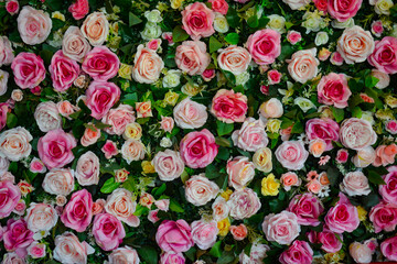 Roses are beautiful flowers that come in many colors.