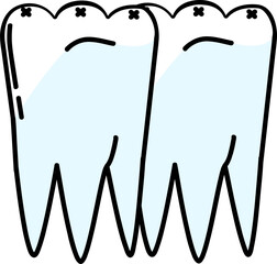 Human teeth are used to crush food
