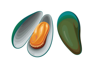 green clam shell sea seashell animal shellfish oyster vector illustration