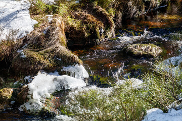 Winterlicher Gebirgsbach im Wald, Weisser Main, Ochsenkopf