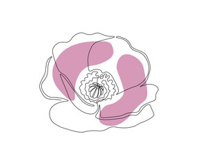 the poppy flower is hand-drawn in a minimalist style, in the technique of a single line, a monoline. Cosmetics symbol, beauty salon logo