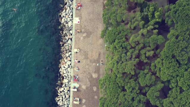 Aerial view italian seacoast beach with pines in sunny day
