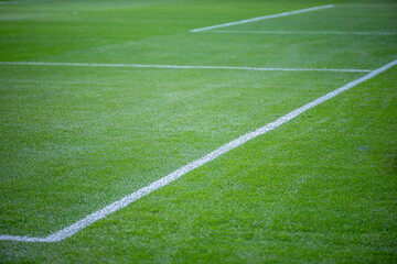 Obraz premium Green grass soccer field