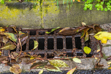Ein Gullideckel im Herbst