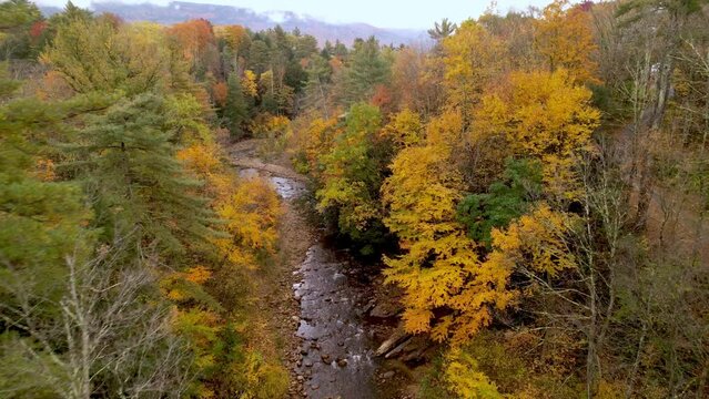 new england brilliant leaf color over stream in east arlington vermont area