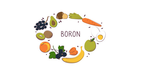 Boron-containing food. Groups of healthy products containing vitamins and minerals. Set of fruits, vegetables, meats, fish and dairy.