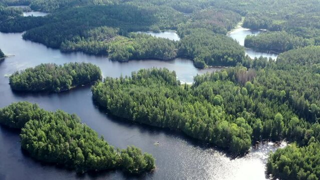 lac et foret en su&egrave;de en &eacute;t&eacute;