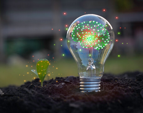 Light bulb with coin stacks beside and green plant on top, saving money, save energy concept put on the soil in soft green nature background.