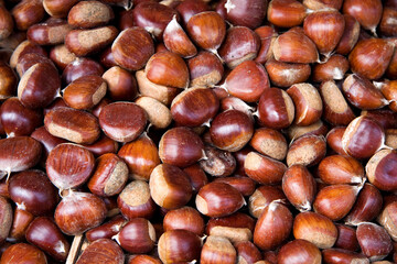 Sweet chestnut background