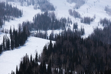 Snow covered trees and mountains on the ski track