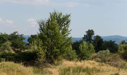 Obraz premium Panoramic terrain of southern Europe. Landscape of Bulgaria-mountains, fields, flora.