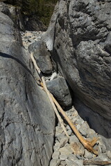 Grotto Creek Trail at Canmore,Alberta,Canada,North America
