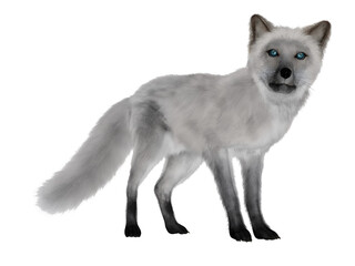 Naklejka premium White fox standing - 3D render
