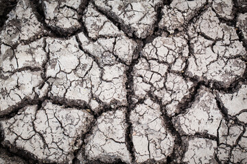 clay ground desert texture, dry cracked earth background