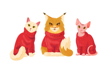 Collection cartoon cute cats in red sweater