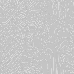 Wood grain white texture. Seamless wooden pattern. Abstract line background. Tree fiber vector illustration