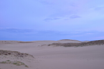 夜明けの鳥取砂丘 Tottori sand dunes at dawn Japan