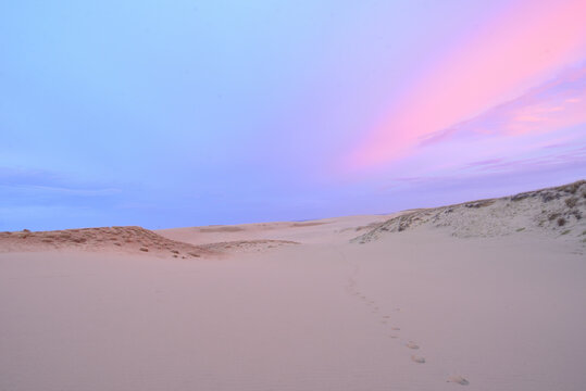 夜明けの鳥取砂丘 Tottori sand dunes at dawn Japan