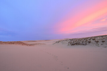 夜明けの鳥取砂丘 Tottori sand dunes at dawn Japan