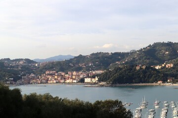 view of kotor