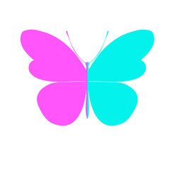Two-color butterfly. Butterfly , PNG illustration, icon.Template for printing