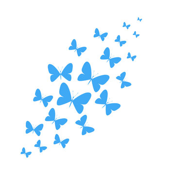 A flock of flying butterflies. Decoration for a postcard, packaging, website page.PNG illustration